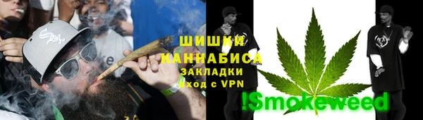 spice Аркадак