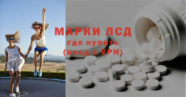 spice Аркадак