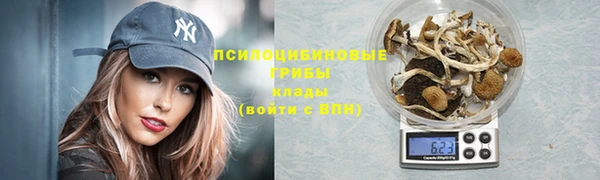 герыч Арсеньев