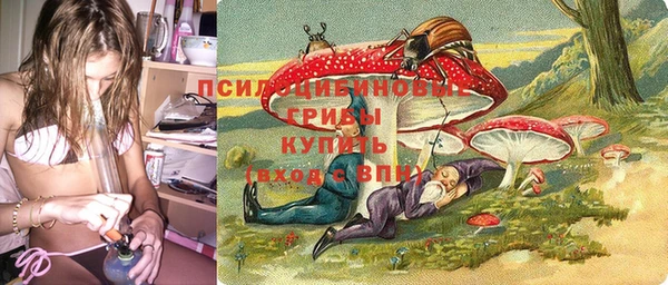 spice Аркадак