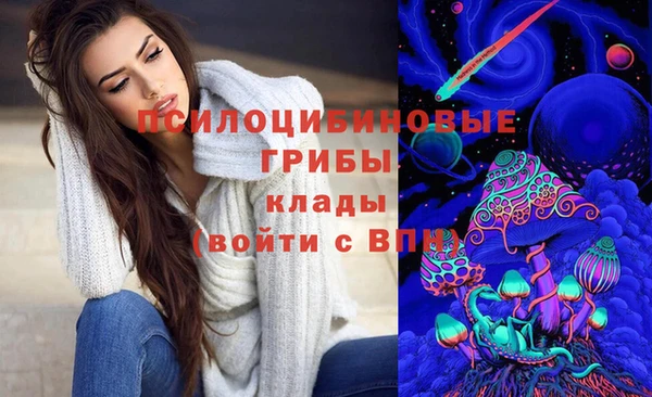 spice Аркадак