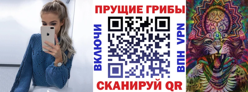 цены наркотик  Закаменск  ОМГ ОМГ вход  Псилоцибиновые грибы мухоморы 