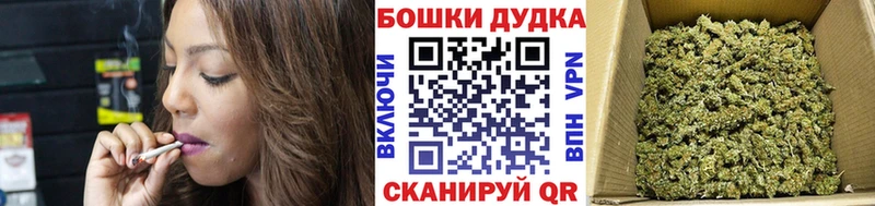 Шишки марихуана Bruce Banner Закаменск